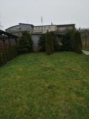 [VIDEO] - Gówno prawda! - tak znany architekt ocenił koszmar własnej ciotki, która po śmierci jego mamy go wychowała. Miał uruchomić farmę wiatrową, a wpędził w 1,3-miliona złotych długu kochającą go osobę!