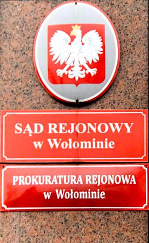 [VIDEO] Dlaczego Prezesi Sądu Rejonowego w Wołominie nie pomagają matce dwójki porwanych dzieci?  