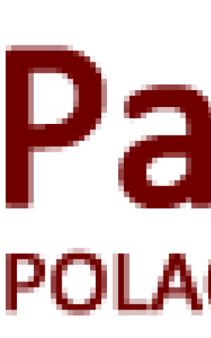 „Chciałbym, żeby polski wymiar sprawiedliwości był sprawiedliwy dla wszystkich”